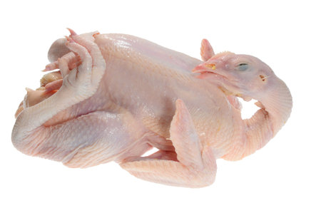 Whole Chicken Ready For Cooking