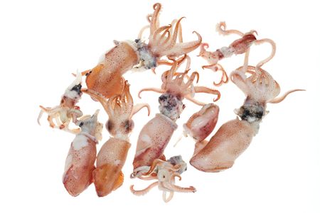 Cooked Squids On A White Backgroundの写真素材