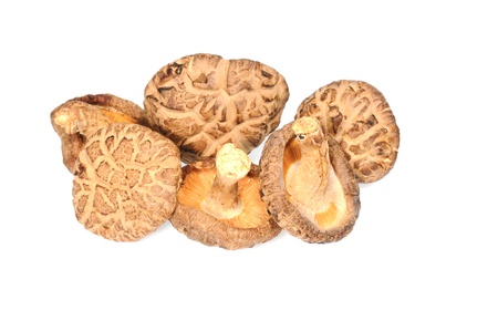 Fresh Mushrooms Arranged On A White backgroundの写真素材