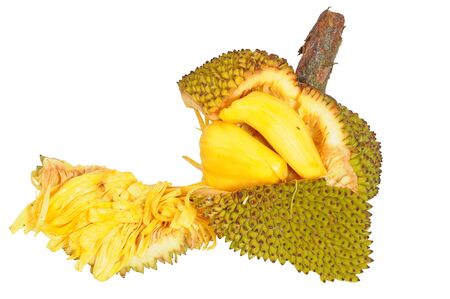 Jackfruit, Image  Showing The Seeds Withinの写真素材