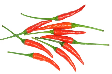 Fresh Red \Chili Peppers の写真素材
