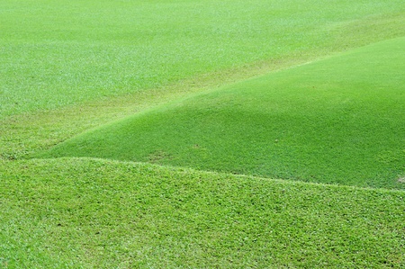 Green Grass Pasture  At A Golf Courseの写真素材