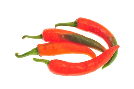 Chili Peppers Isolated On White Backgroundの写真素材