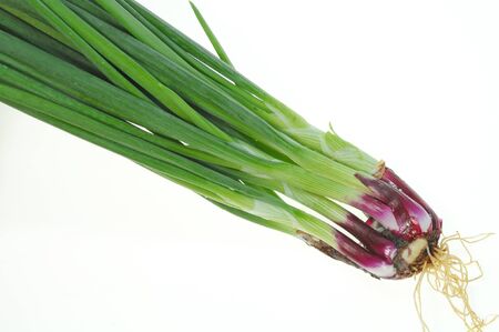 Fresh Spring Onion Plants On Isolated Backgroundの写真素材