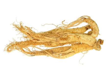 Dried Ginseng Roots Isolated On White Backgroundの写真素材