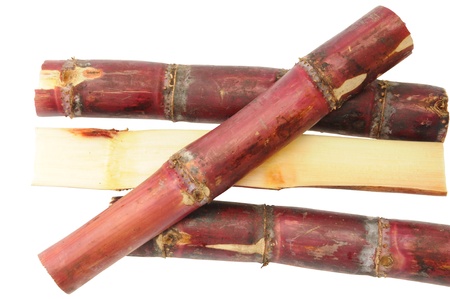 Maroon Colored Sugarcane Isolated On White Backgroundの写真素材