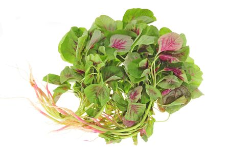 Red Spinach Vegetable Isolated On White Backgroundの写真素材