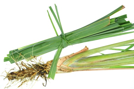 Lemon Grass Isolated On White Backgroundの写真素材