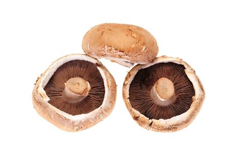 Fresh Mushrooms, Portabellaの写真素材