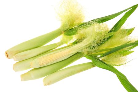 Fresh Baby Sweet Corns On White Backgroundの写真素材