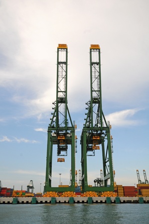 Lifting Cranes At A Container Portの写真素材
