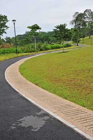 Curving Footpath In A Parkの写真素材