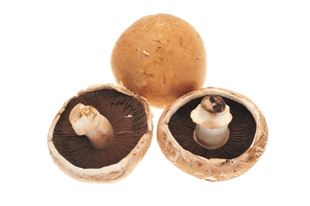 Fresh  Portabella Mushroom On White Backgroundの写真素材