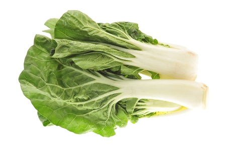 Chinese Cabbage Isolated On White Backgroundの写真素材