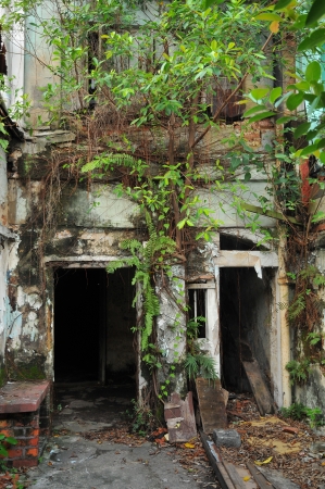 Abandoned House With Overgrowth Plantsの写真素材
