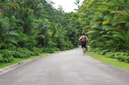 Garden With Trees Lined Road