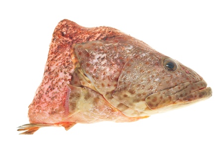 Raw Fish Head Ready For Cookingの写真素材