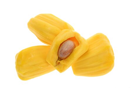 Jackfruit Seeds の写真素材
