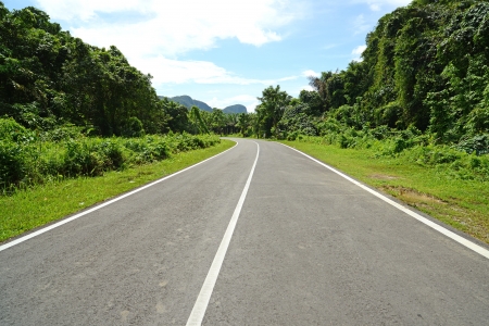 Tree Lined Road In The Countryside の写真素材