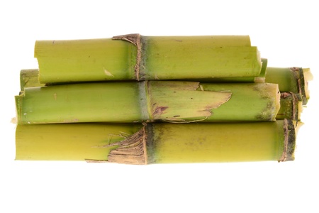 Short Stumps  Of  Sugarcaneの写真素材