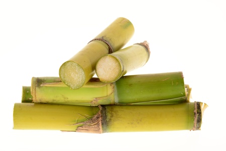Stumps Of Sugarcaneの写真素材