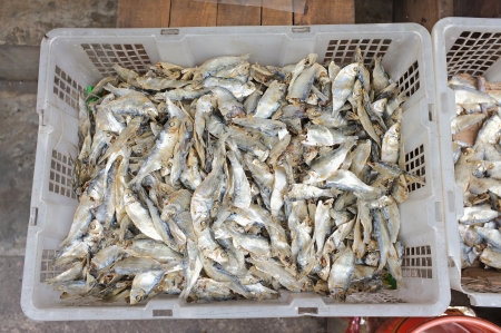 Small Dried Fishes For Saleの写真素材