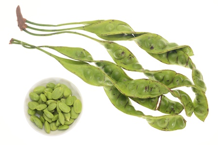 Bitter Beans, Petaiの写真素材