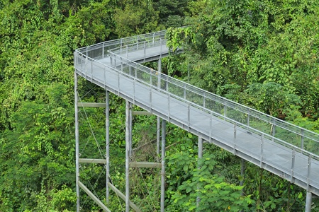 Steel Structure Of A Forest Canopy Walkwayの写真素材