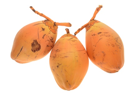 Fresh Coconuts Isolated On White Backgroundの写真素材