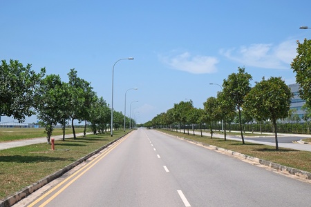Tree Lined Road In The Countryside の写真素材