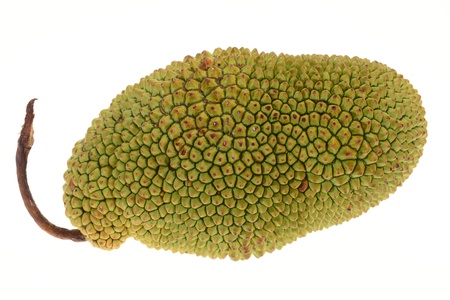 Chempedak, A Species Of Jackfruitの写真素材