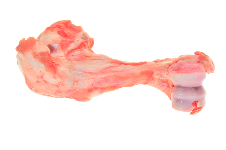 Pig Bone  Used For Cooking Soup Baseの写真素材