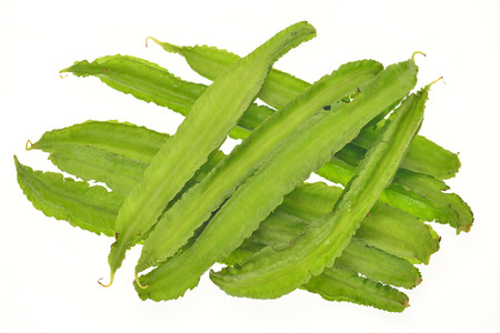 Winged Beans, Angled Beansの写真素材