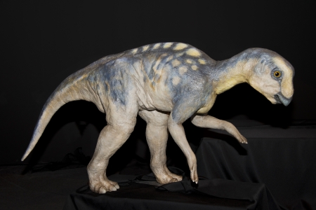 Dinosaur Exhibit On Displayの写真素材