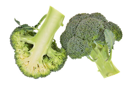 Broccoli Isolated On White Backgroundの写真素材