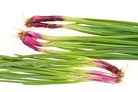 Fresh Spring Onions Isolated on White Backgroundの写真素材