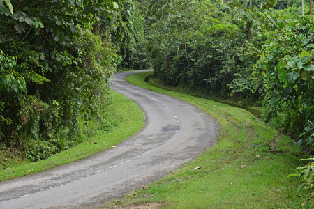 Curving Road At The Countrysideの写真素材