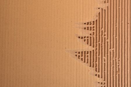 Peeled Corrugated Board Showing The Fluted Corrugated Sheetの写真素材
