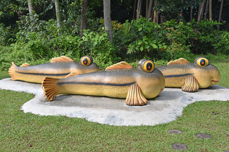 Mudskipper Statues At A Parkの写真素材