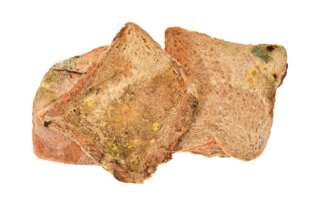 Stale Breads With Growth Of Moldの写真素材
