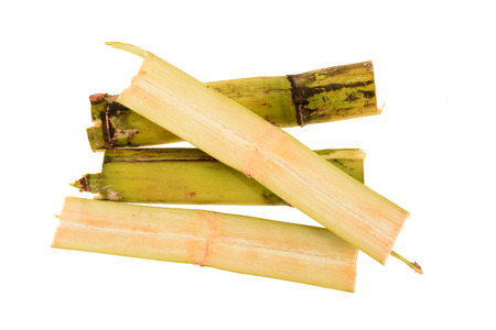 Sugarcane Showing Sliced Sectionの写真素材
