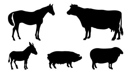 Animals Silhouettes. Horse, Cow, Donkey, Pig, Sheep. Vector EPS 10.のイラスト素材