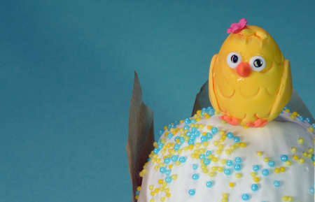 Funny chicken on Easter cake background close upの写真素材