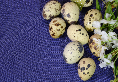 Happy Easter background. Spring flowers and eggs closeup