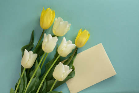 Beautiful yellow and white tulips with envelope on a light turquoise backgroundの写真素材