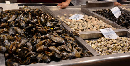 Mussels on the market counter. A lot of seashells on the bazaar for trade. Trading wholesaleの写真素材