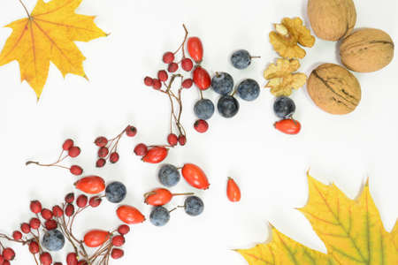 Autumn composition. Frame made of autumn leaves, hawthorn, dogrose, blackthorn and walnuts on white background. Flat lay, top viewの写真素材