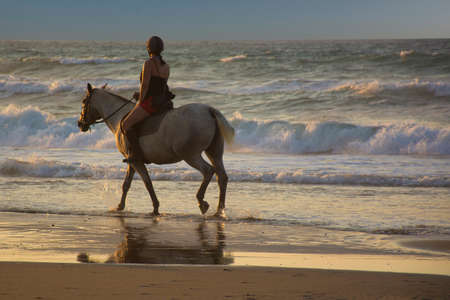 Girl riding horse on the beach at sunset. Horsewoman on the sea. Young beautiful woman ride on horseの写真素材