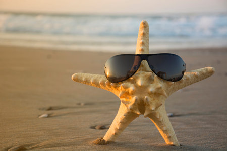 Starfish in glasses on a beach sand closeup. Summer holidays sea background