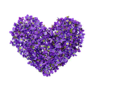 Heart shape flowers. Violets love symbol isolated on white background. Template for greeting card, web designの写真素材